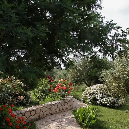 Volidiera 里科索翁