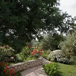 Volidiera 릭수리