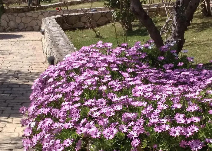 Volidiera Πανσιόν Ληξούρι