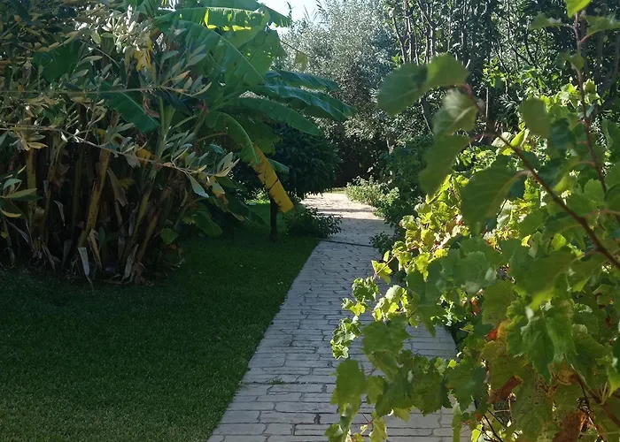 Volidiera 4* Ληξούρι