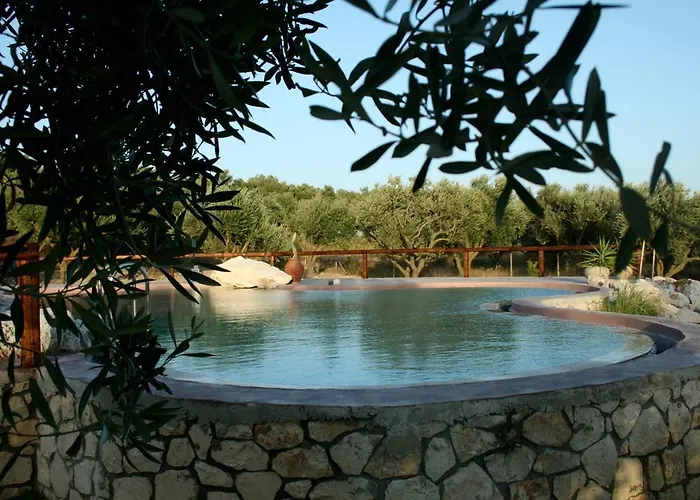 Volidiera