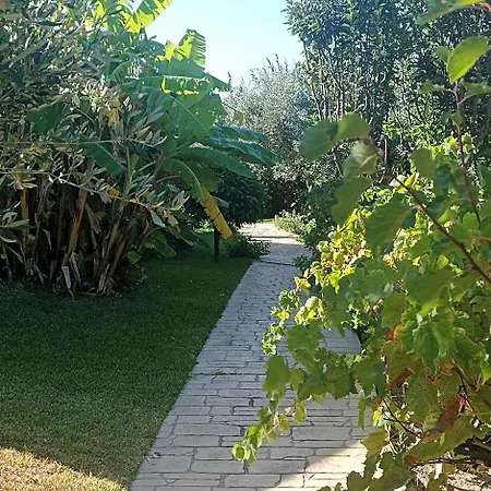 Volidiera 4*