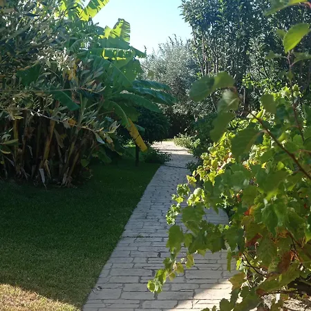Volidiera 4* Ληξούρι